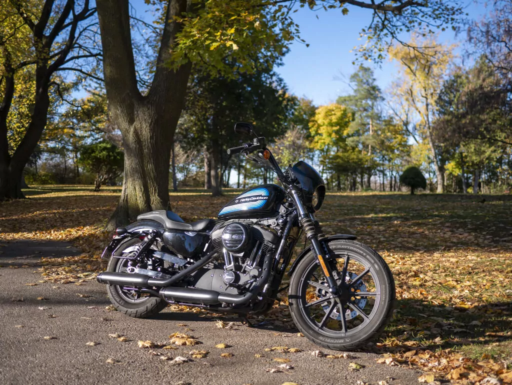 2019 Harley-Davidson Iron 1200