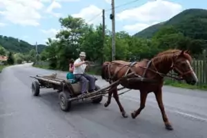 A typical sight on the streets of Romania