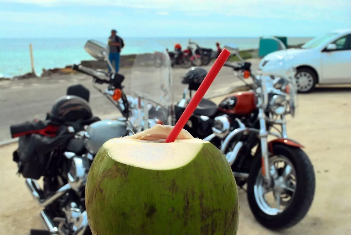 Coconut & bikes by the sea