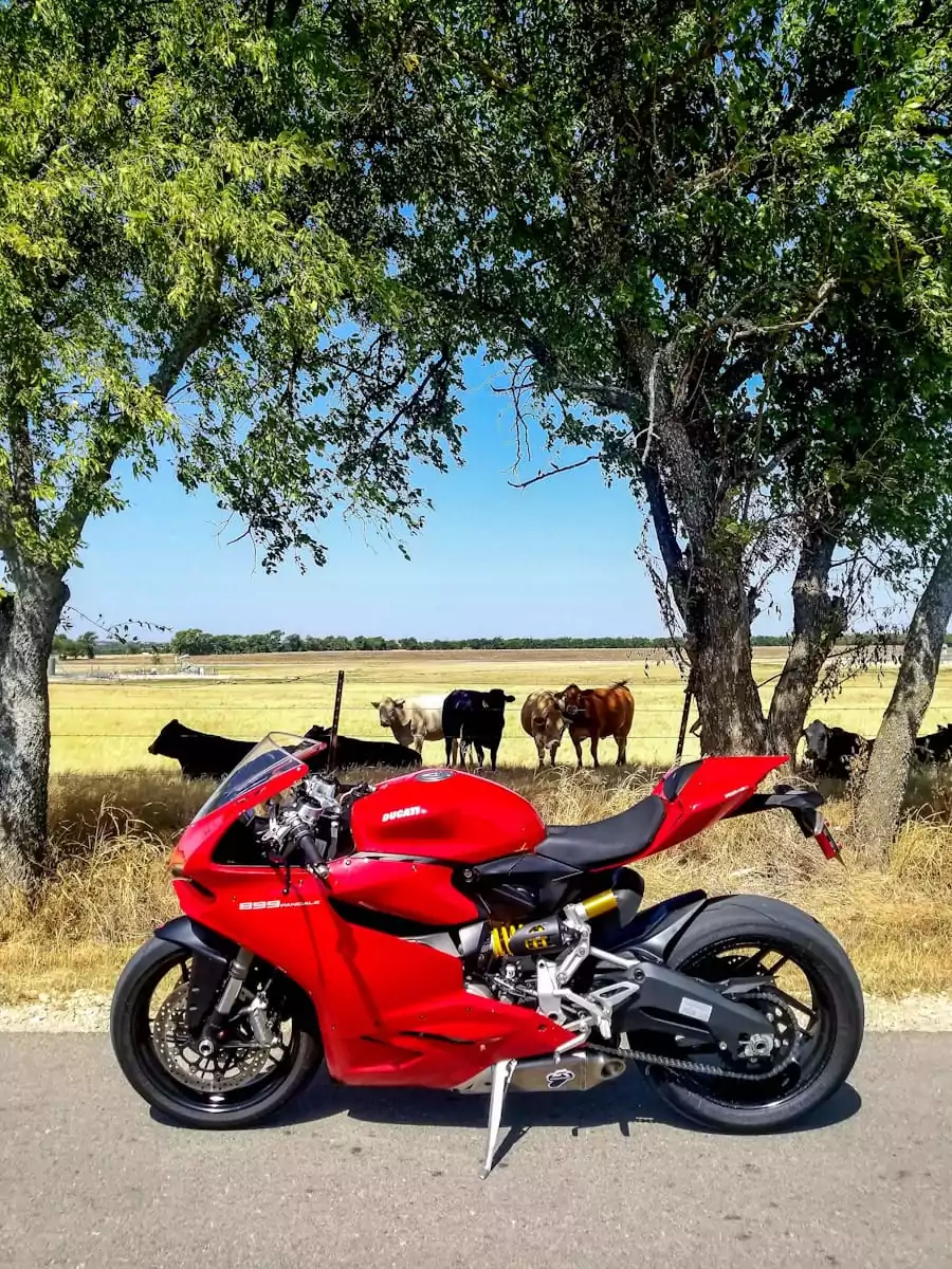 Ducati 899 left side
