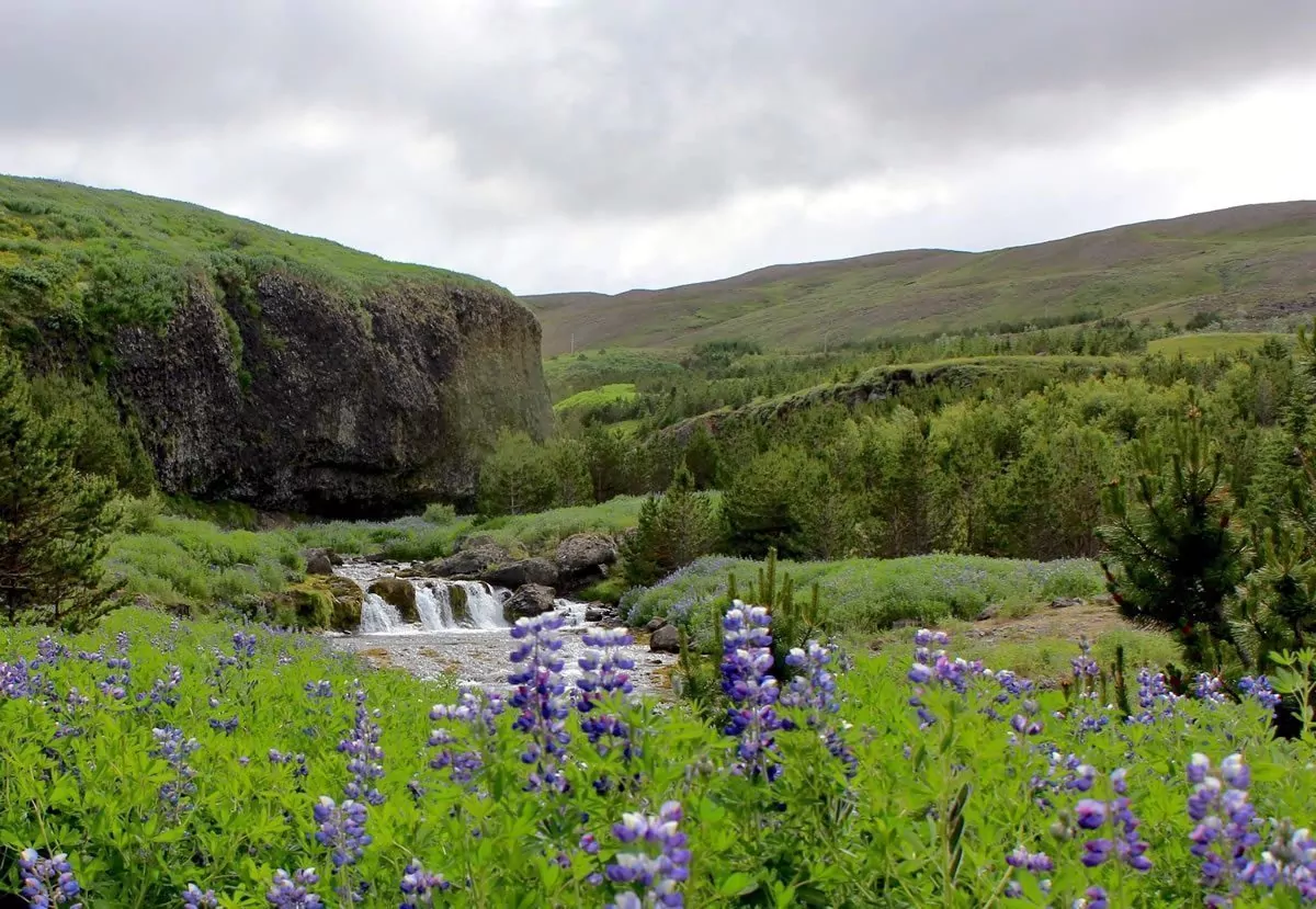 Iceland - Hills