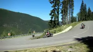 The perfect curves of the Transalpina
